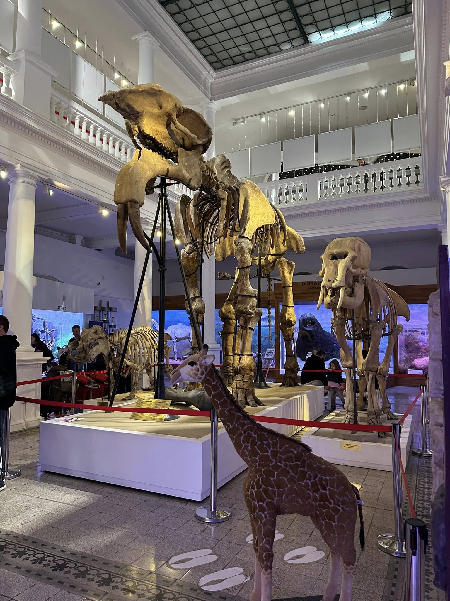 581951307_819822917467907_8900693434295537853_n