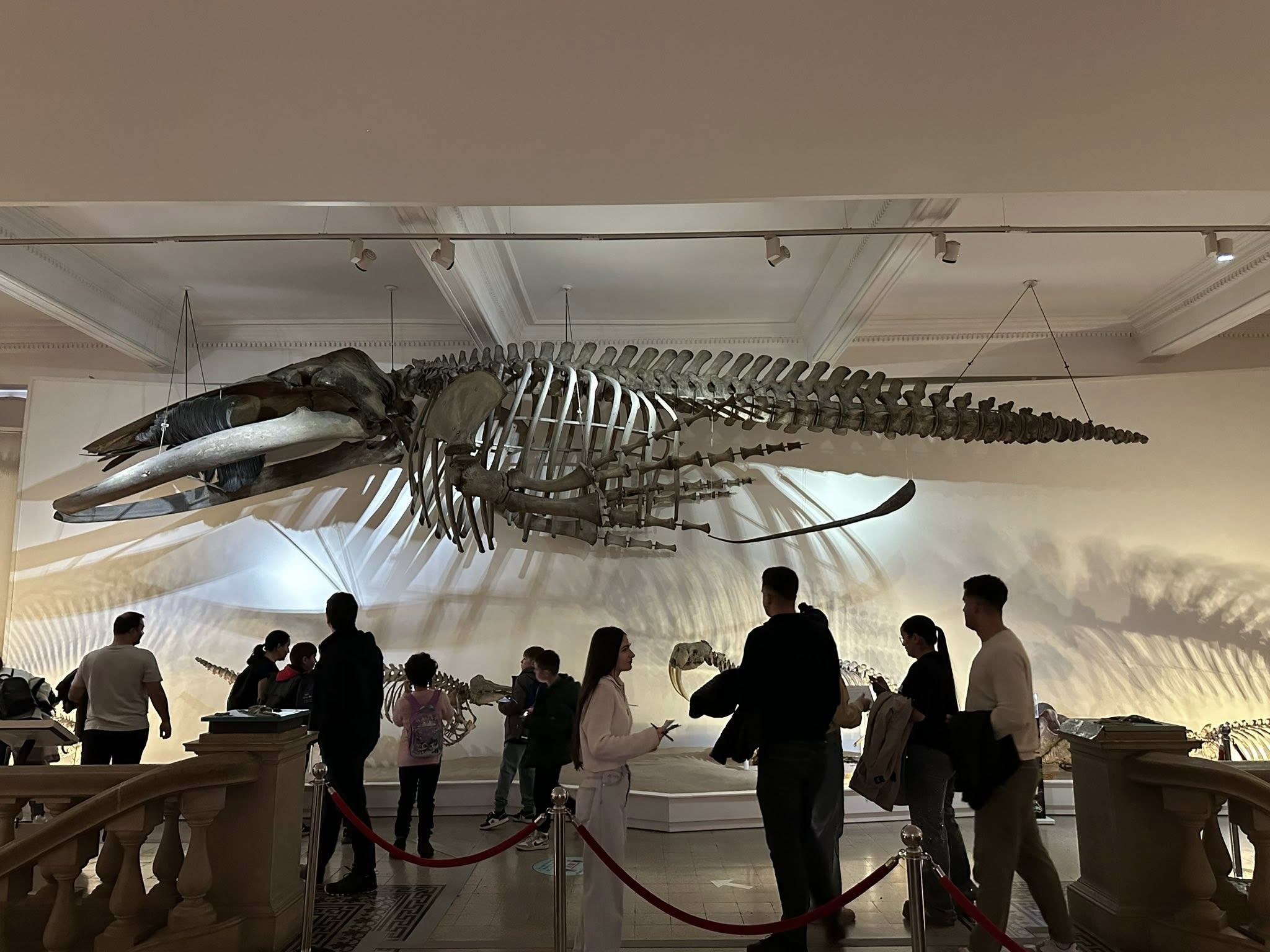 581957649_819822750801257_2549266267558903811_n