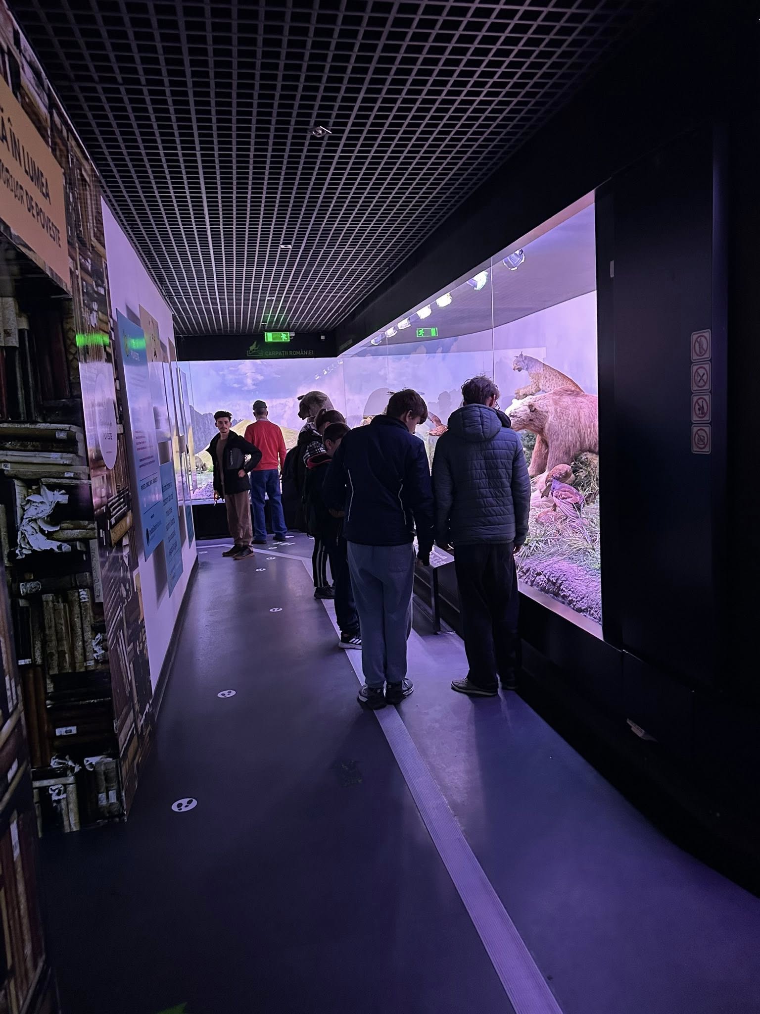 581959210_819821964134669_6800111262720321646_n