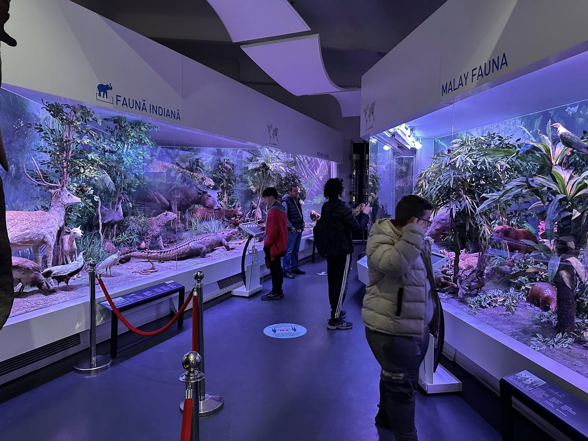 583318175_819821410801391_3863292143169156502_n