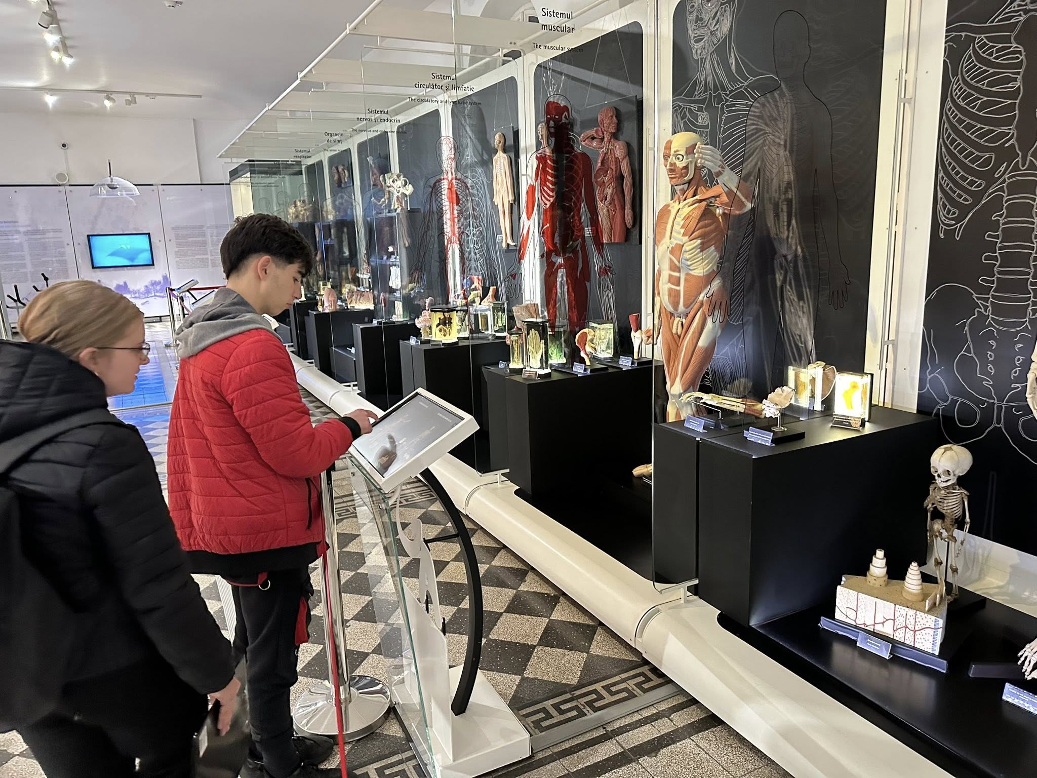 583322752_819822727467926_3453147433925789615_n