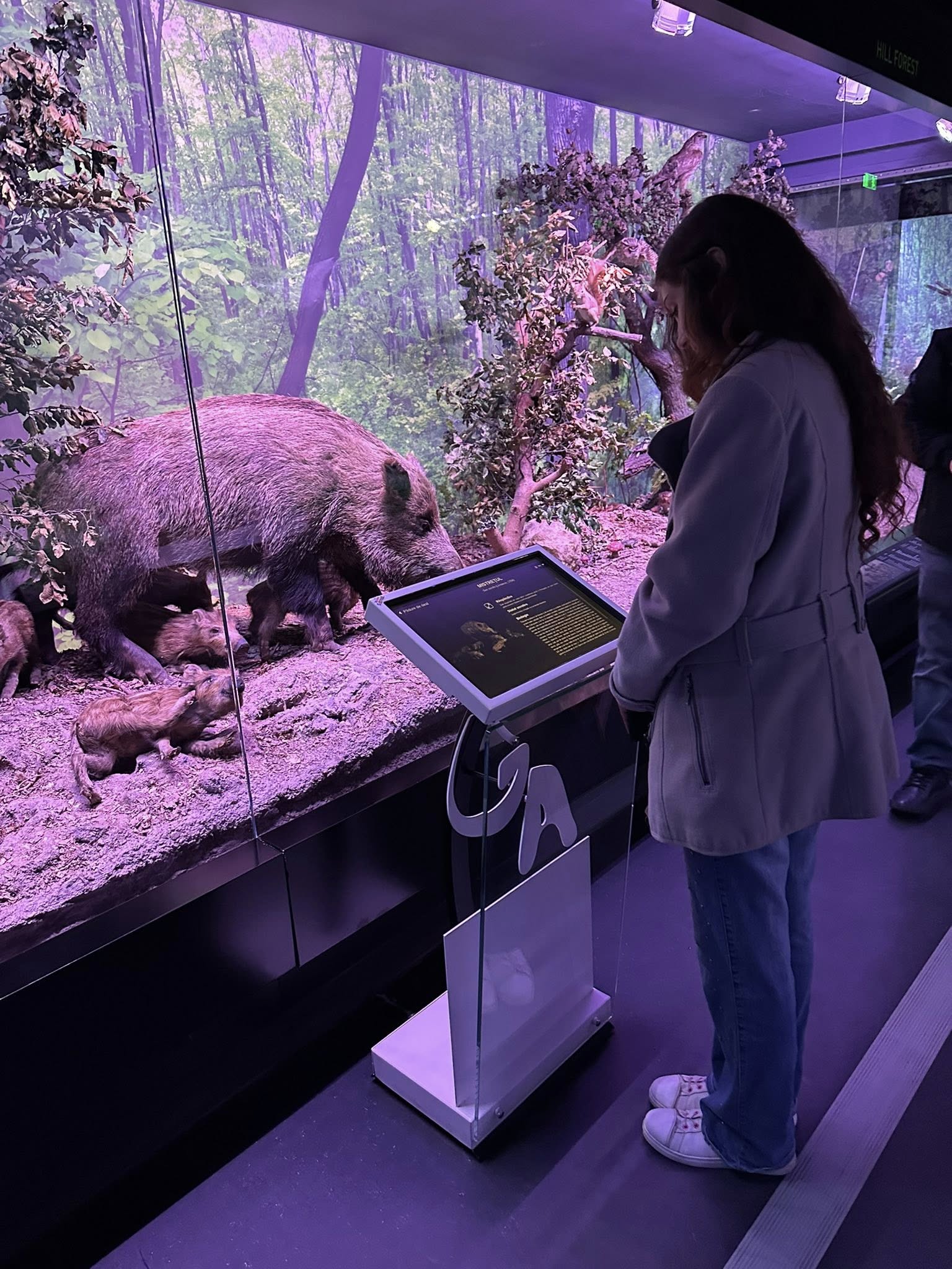 585060611_819824420801090_7503570904277272389_n